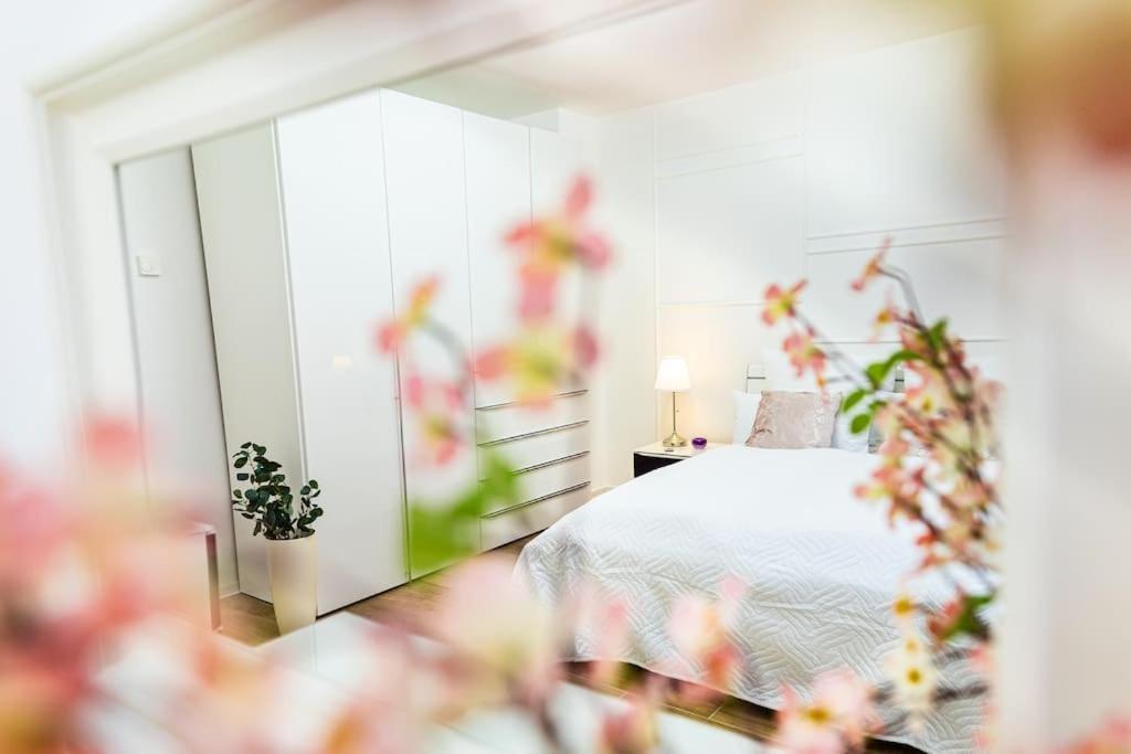 Charmante Wohnung In Koblenzer Innenstadt Koblenz  Exteriör bild